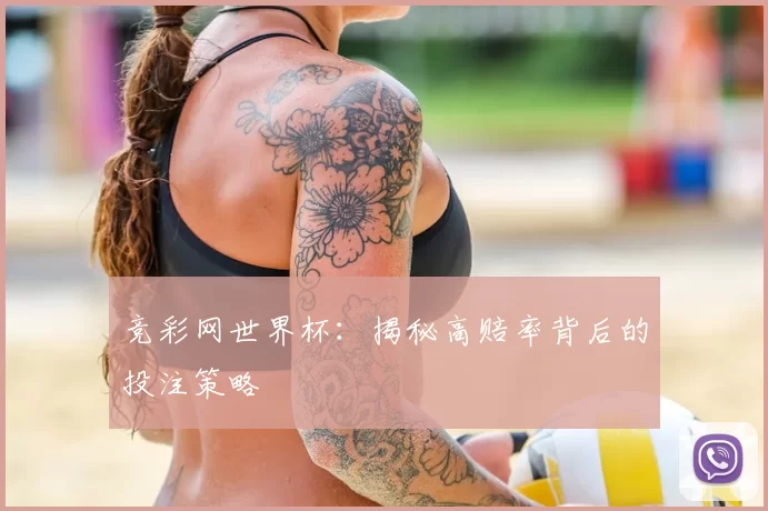 竞彩网世界杯:揭秘高赔率背后的投注策略