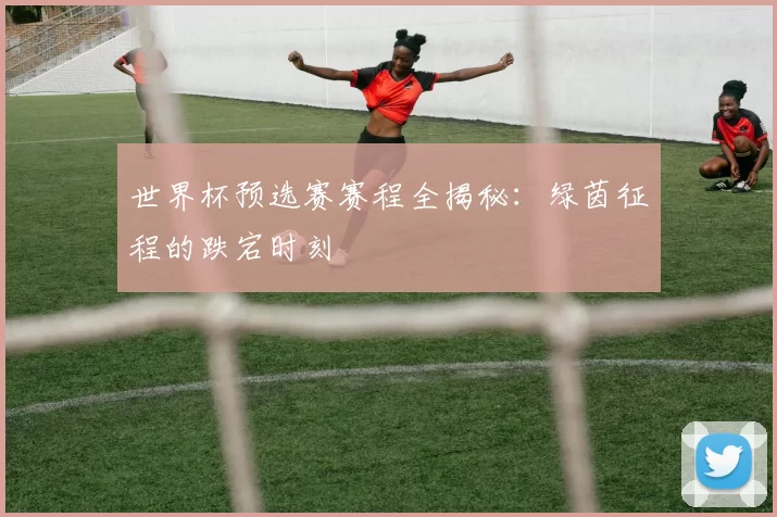 世界杯预选赛赛程全揭秘:绿茵征程的跌宕时刻