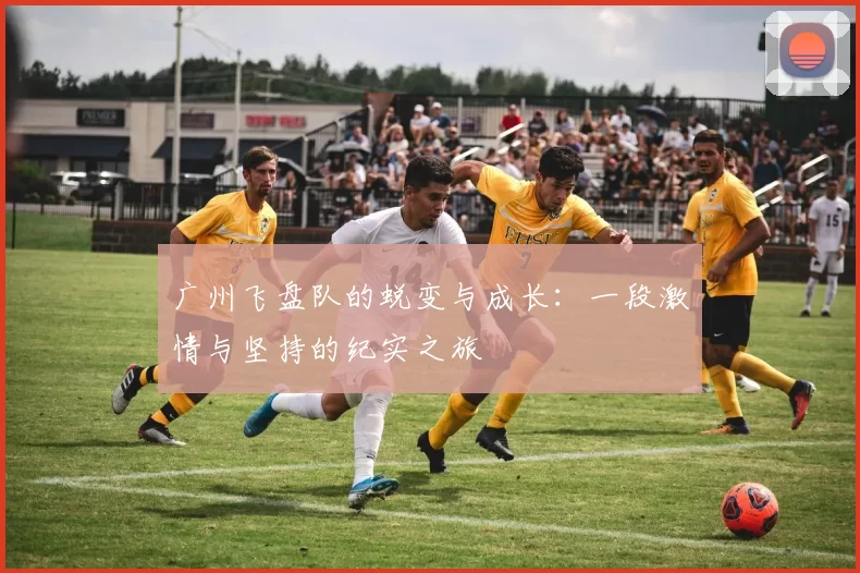 广州飞盘队的蜕变与成长:一段激情与坚持的纪实之旅