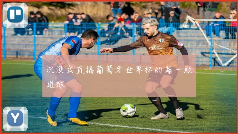 沉浸式直播葡萄牙世界杯的每一粒进球