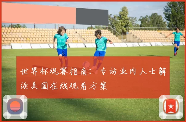 世界杯观赛指南：专访业内人士解读美国在线观看方案