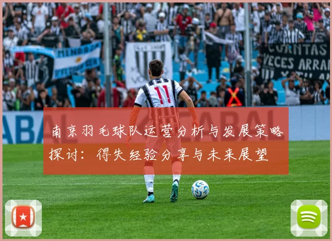 南京羽毛球队运营分析与发展策略探讨：得失经验分享与未来展望