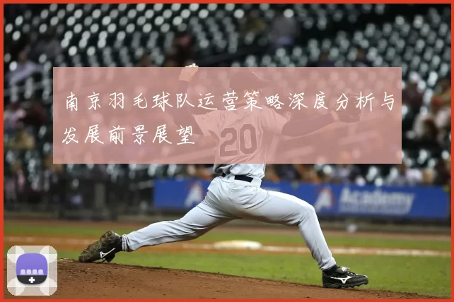 南京羽毛球队运营策略深度分析与发展前景展望