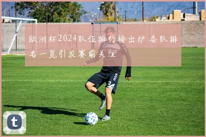 欧洲杯2024队伍排行榜出炉 各队排名一览引发赛前关注