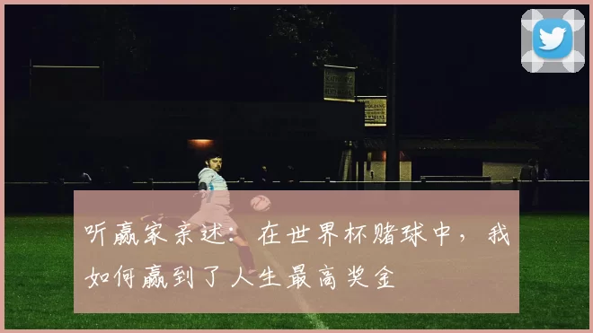 听赢家亲述：在世界杯赌球中，我如何赢到了人生最高奖金