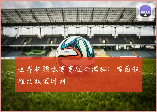 世界杯预选赛赛程全揭秘：绿茵征程的跌宕时刻