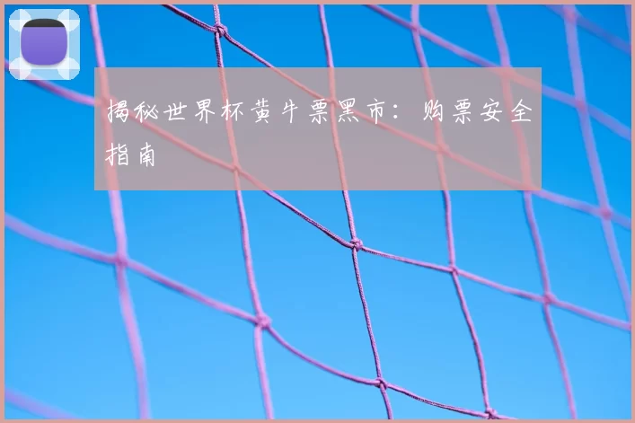 揭秘世界杯黄牛票黑市:购票安全指南