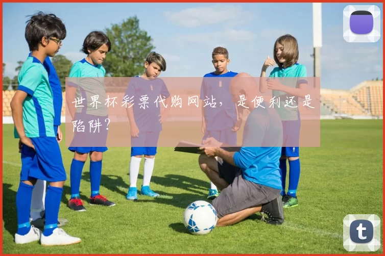 世界杯彩票代购网站，是便利还是陷阱？