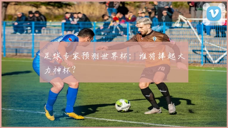足球专家预测世界杯:谁将捧起大力神杯?