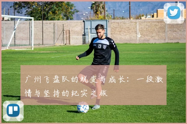 广州飞盘队的蜕变与成长：一段激情与坚持的纪实之旅