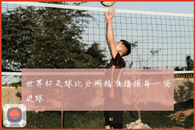 世界杯足球比分网精准播报每一场进球