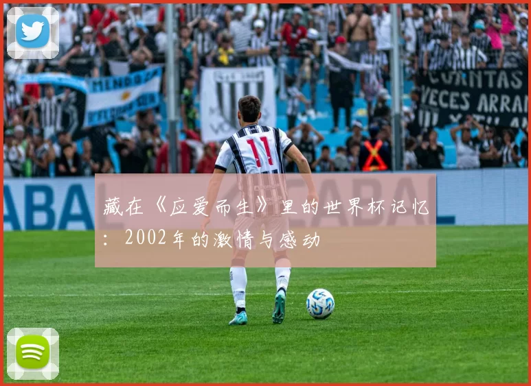 藏在《应爱而生》里的世界杯记忆：2002年的激情与感动