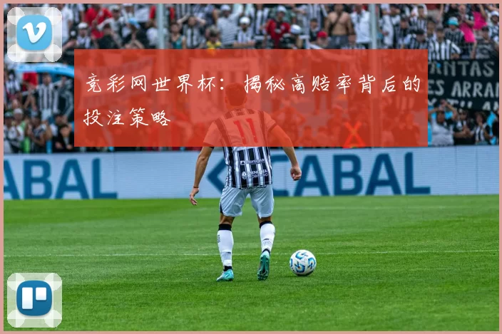 竞彩网世界杯:揭秘高赔率背后的投注策略