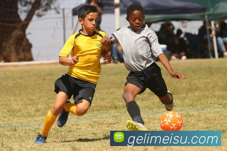 爱游戏体育服务体系